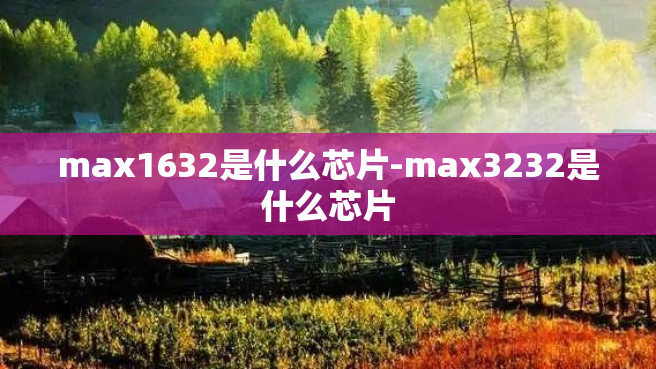max1632是什么芯片-max3232是什么芯片